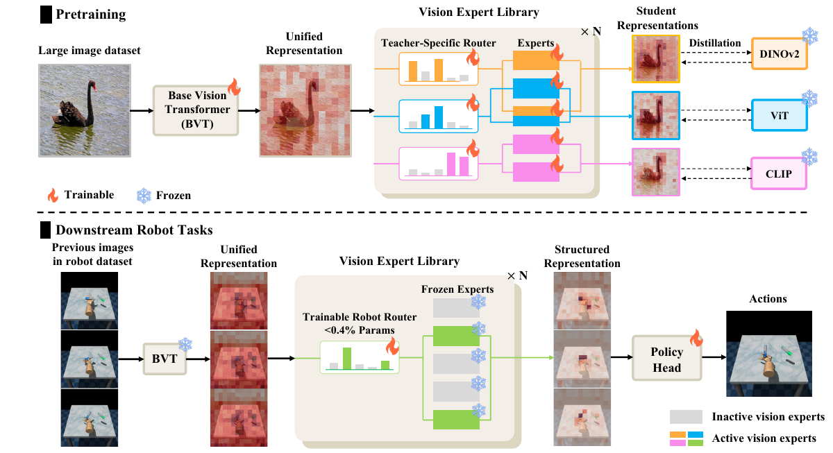 VER distills vision foundation models into an expert library and routes their representations for robot tasks